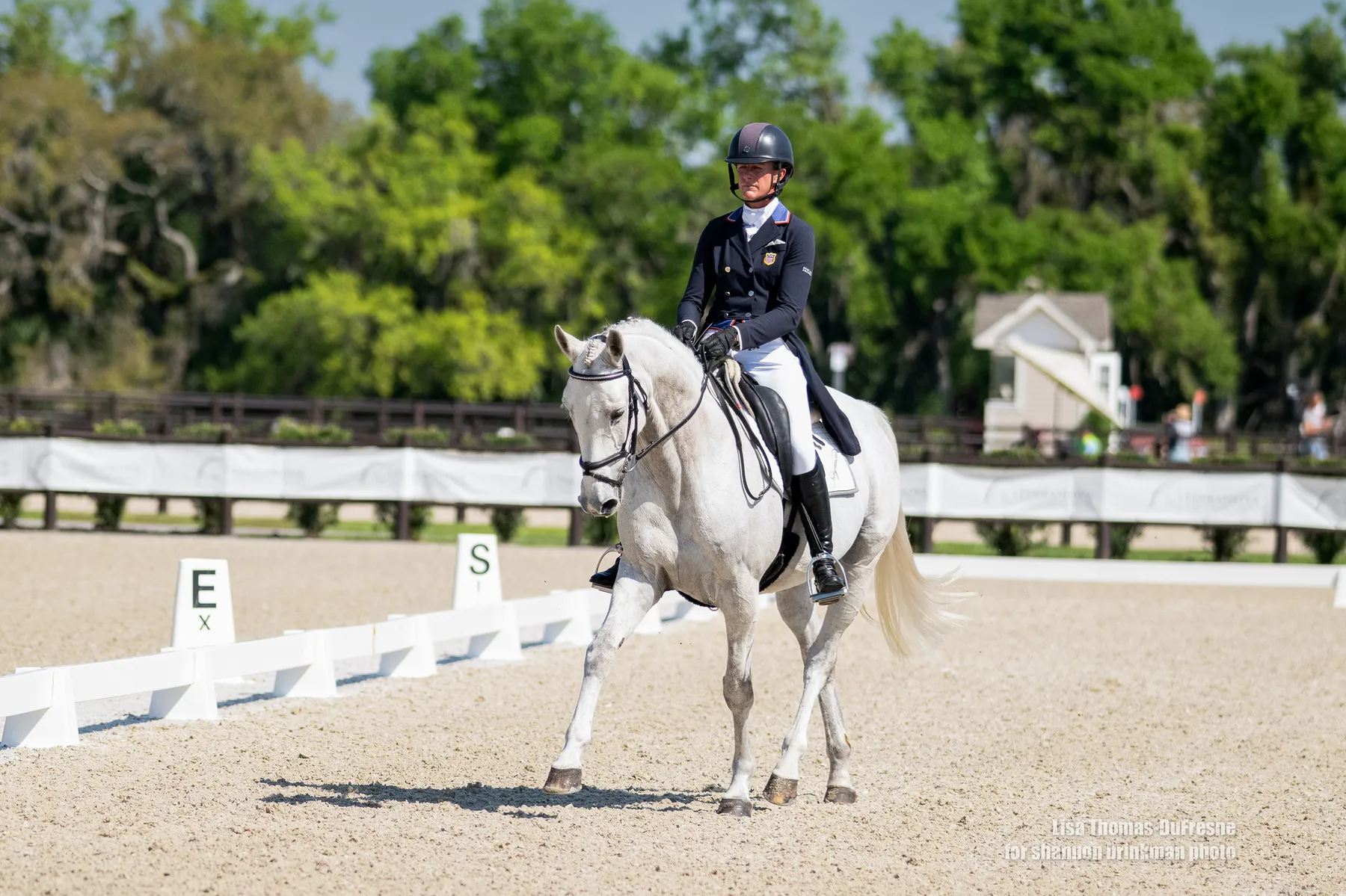 Lauren Nicholson riding How Easy GG in the dressage phase at The Event at TerraNova