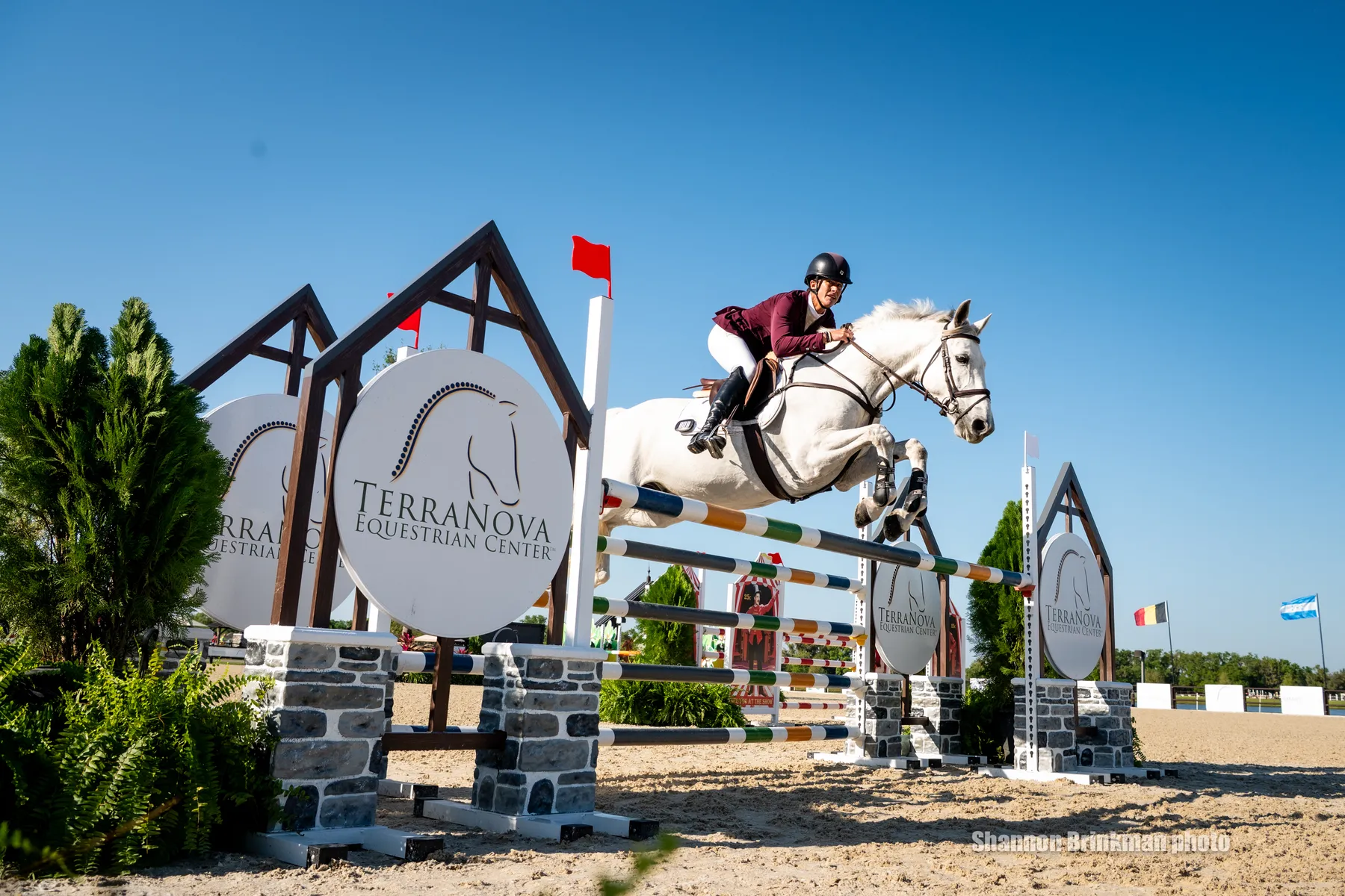 Lauren Nicholson riding How Easy GG in the show jumping phase at The Event at TerraNova