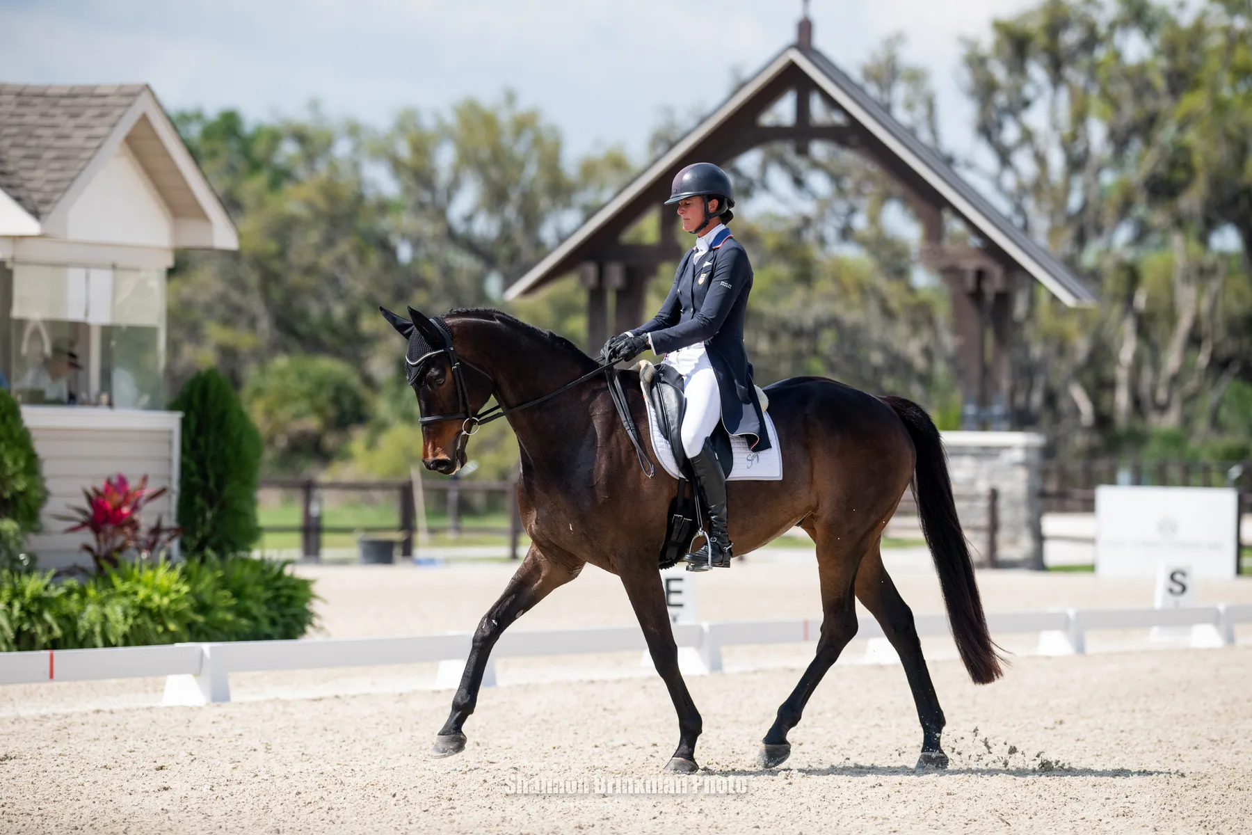 Lauren Nicholson riding Landmark's Jungle Gold in the dressage phase at The Event at TerraNova