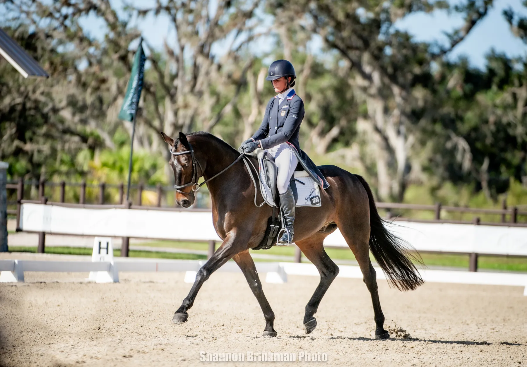 The B&D Builders CCI4*-L dressage at The Event at TerraNova with Lauren Nicholson and Larcot Z in the lead