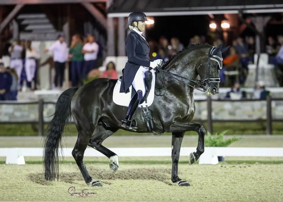 Lehua Custer riding F.J. Ramzes to win the FEI Dressage CDI4* Grand Prix at TerraNova Dressage II