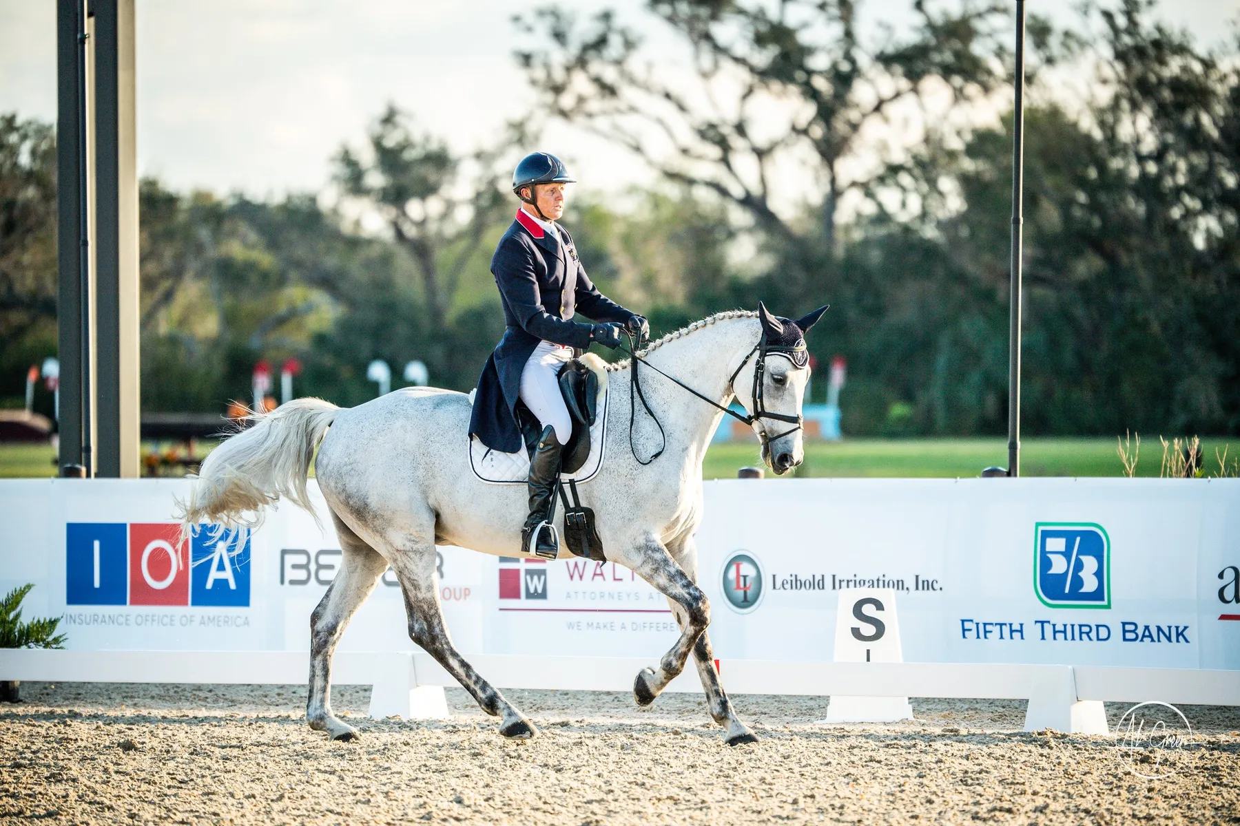 Leslie Law riding Castle Howard Romeo in the CCI3*-S dressage at The Event at TerraNova 2022