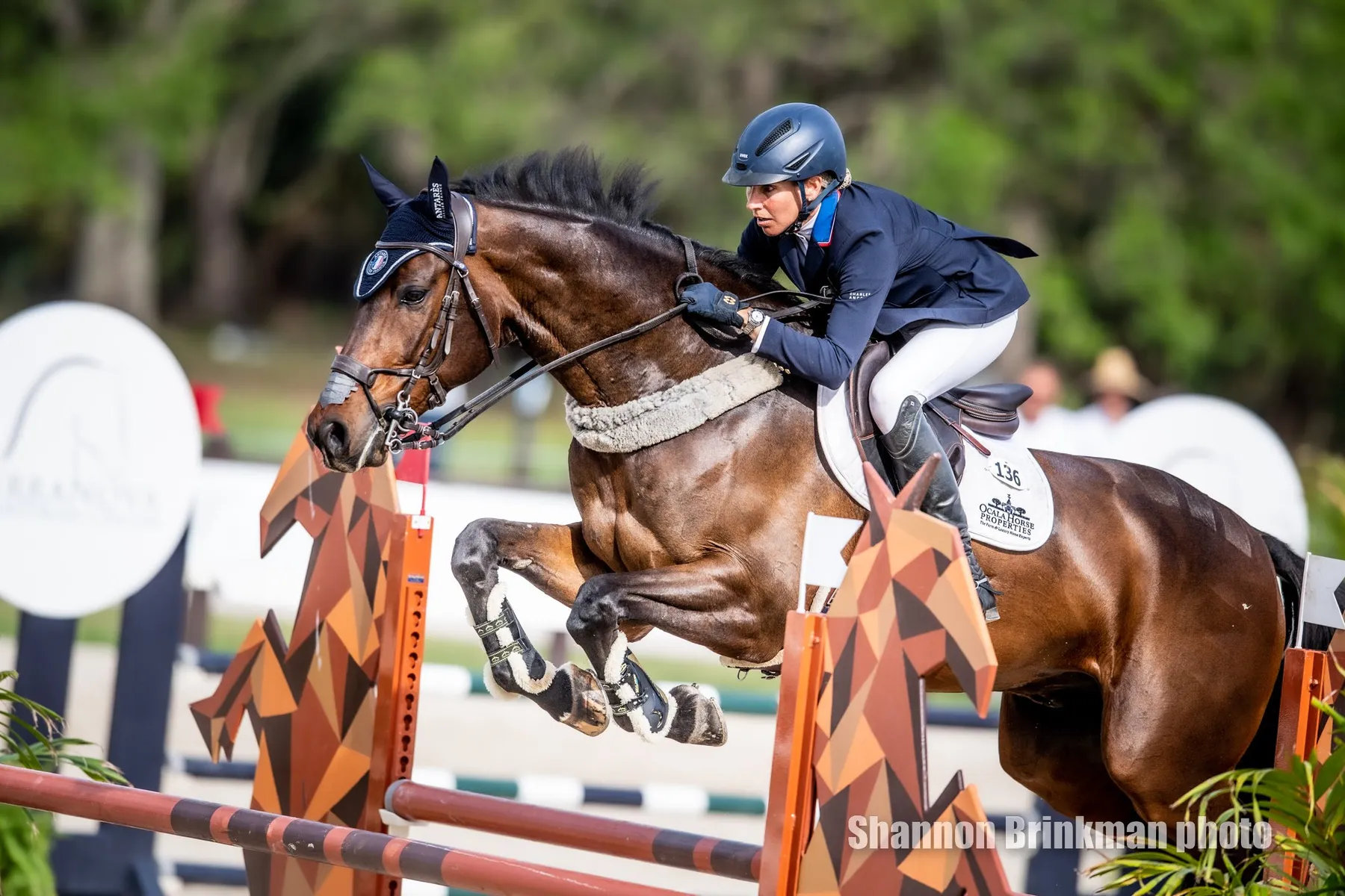 Liz Halliday-Sharp riding Shanroe Cooley at The Estates at TerraNova CCI4*-S