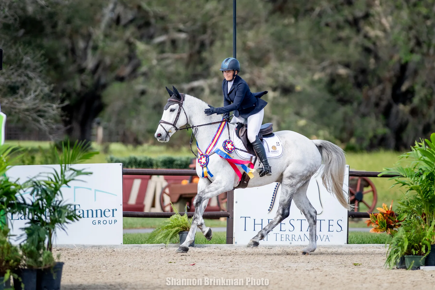 Lucia Strini riding DHI Kevin G to win the CCI3*-L at The Event at TerraNova