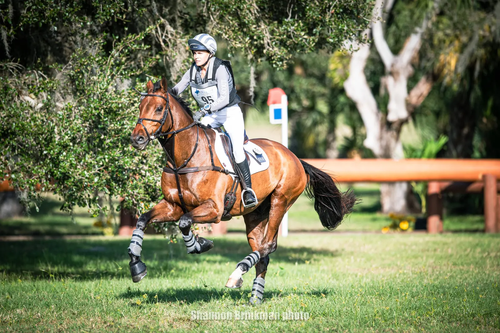 Lucienne Bellissimo riding Duke's Jory on the cross-country course at The Event at TerraNova. Photo by Shannon Brinkman.