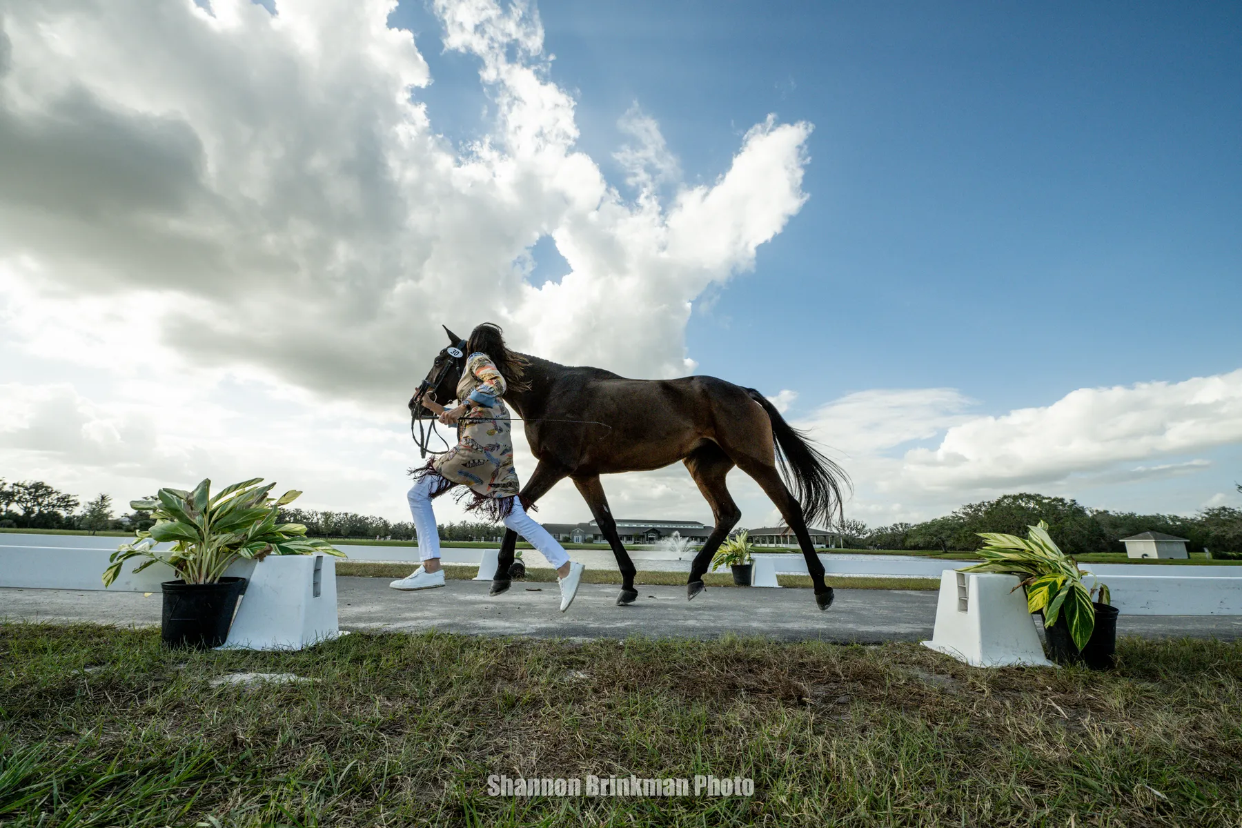 Lucienne Bellissimo jogging Tremanton at the B&D Builders CCI4*-L Trot Up at The Event at TerraNova