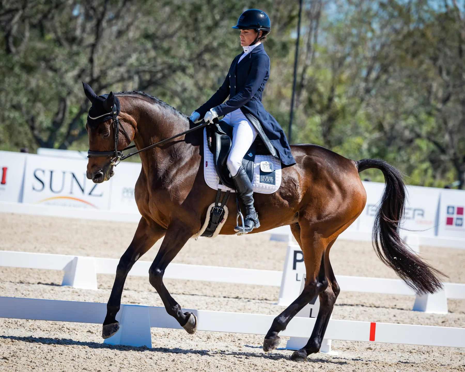Lucienne Bellissimo riding Tremanton in the CCI4*-S dressage at The Event at TerraNova 2022