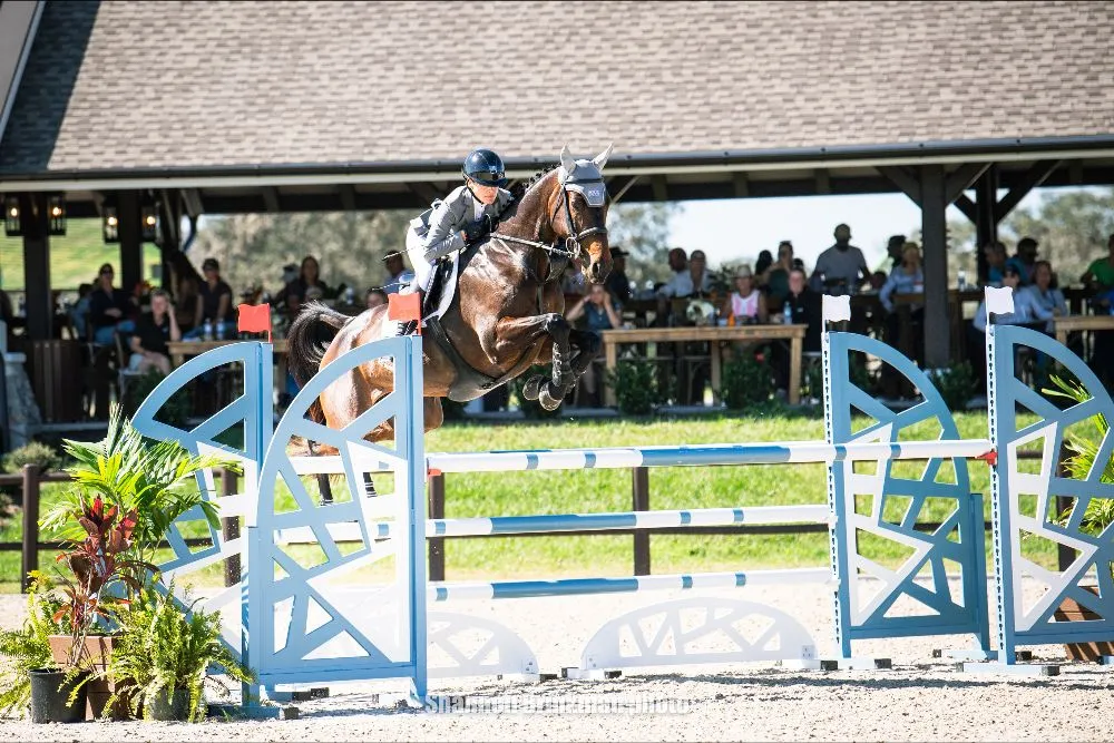Lucienne Bellissimo riding Tremanton in show jumping at The Event at TerraNova