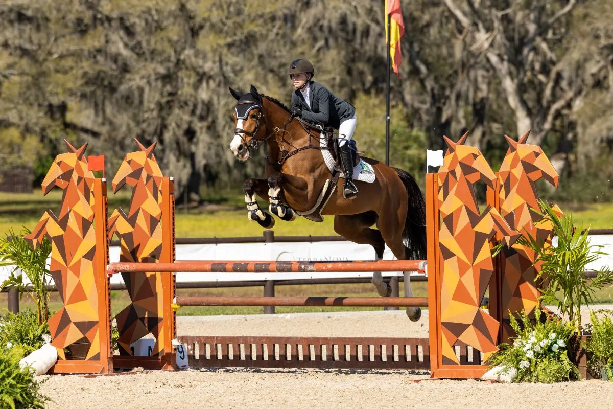 Lucy Hart riding Moonlight B to second in the NAL/WIHS 1.10m Junior/Amateur Jumper Classic at TerraNova