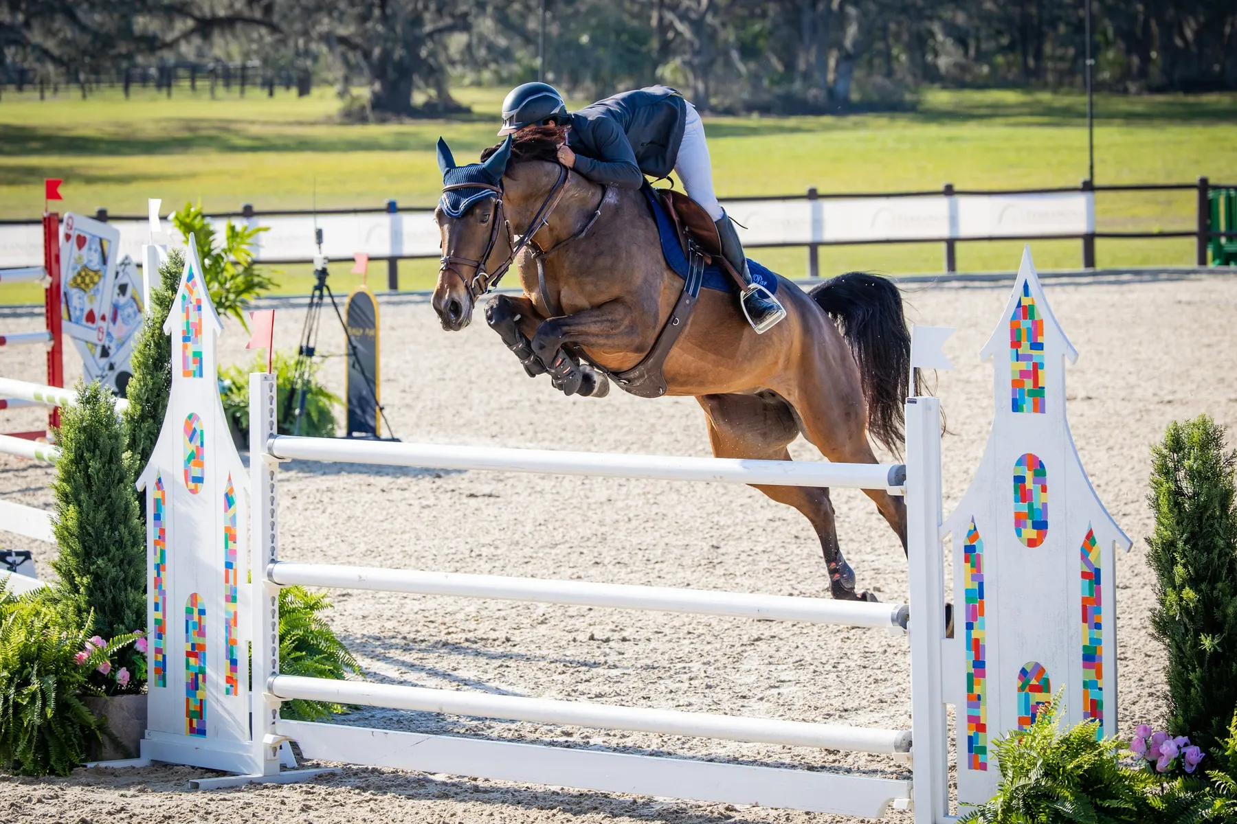 Luis Larrazabal riding Baroness in the $10,000 FEI 1.40m Welcome Speed at TerraNova