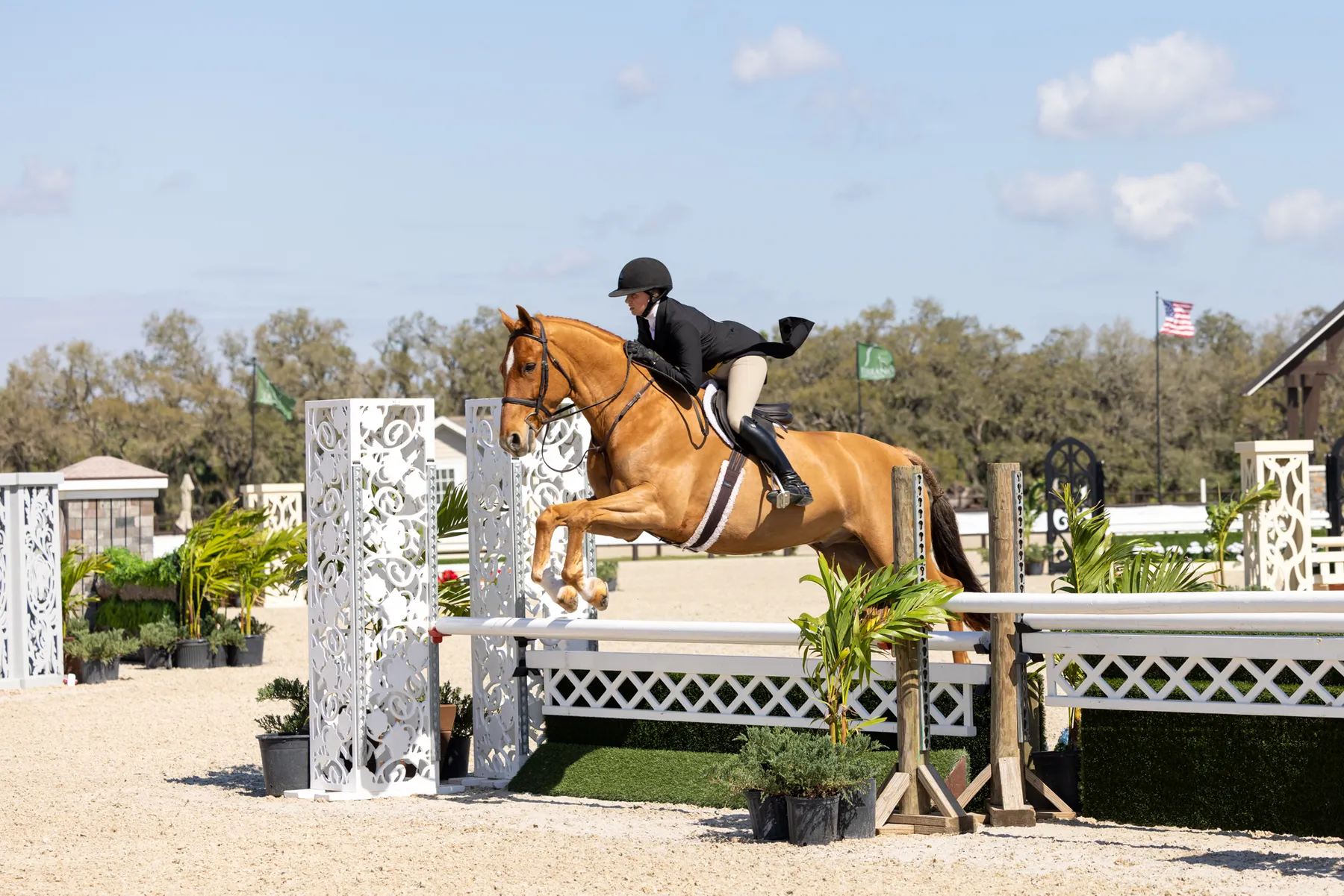 Mackenzie Suffy riding Lammtarra to second in the USHJA National Hunter Derby at TerraNova