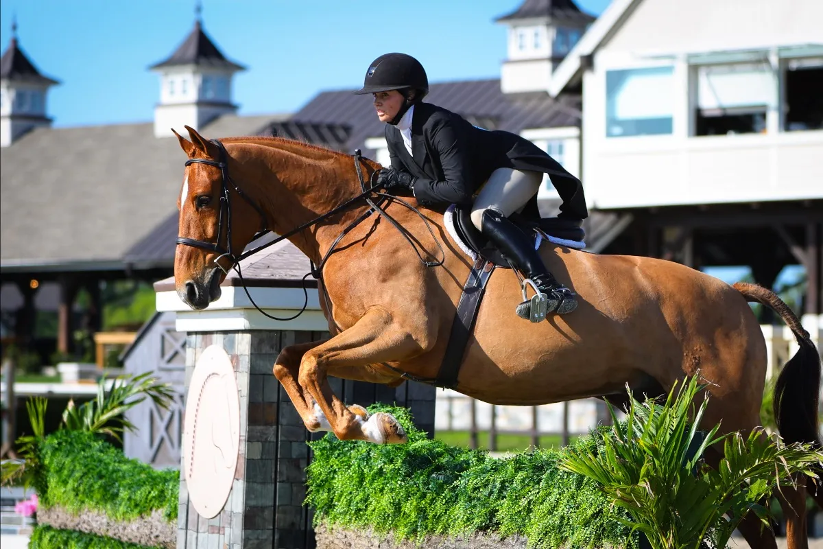 Mackenzie Suffy riding Lammtarra to second in the USHJA National Hunter Derby at TerraNova