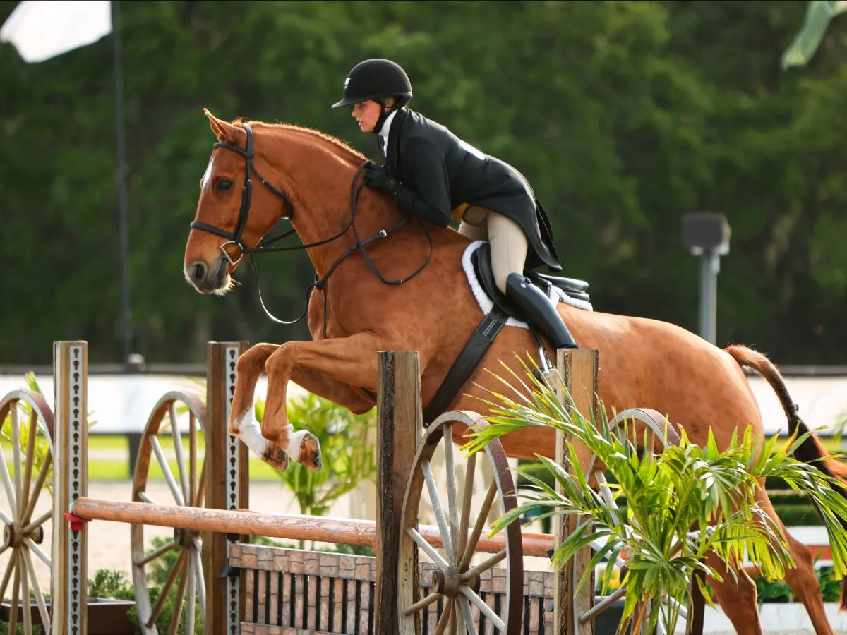 Mackenzie Suffy riding Lammtarra to third in the USHJA National Hunter Derby at TerraNova