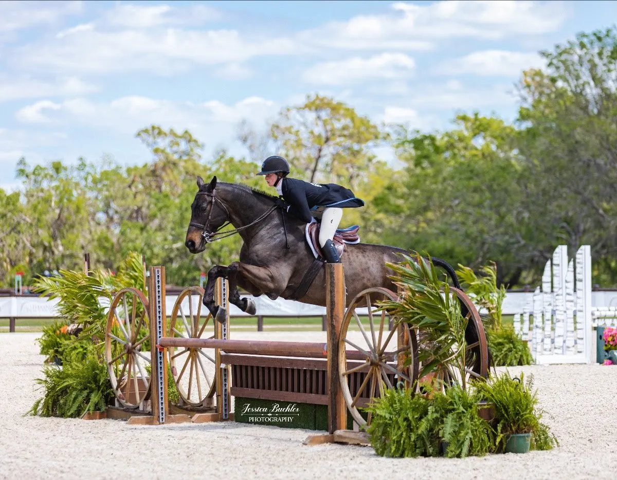 Madeline Brooks riding Clearview in the $5,000 USHJA National Hunter Derby at TerraNova