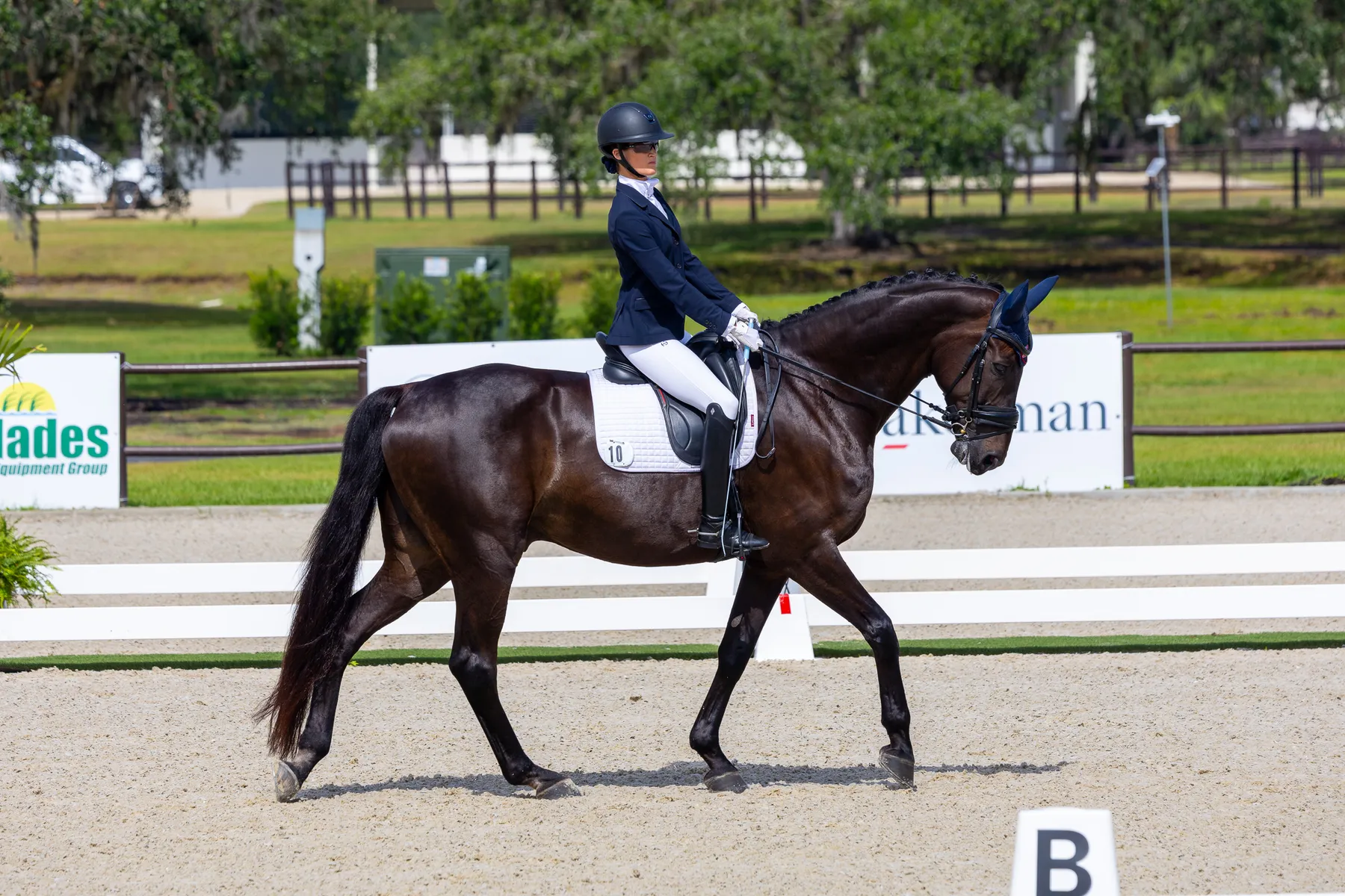 Marie Vonderheyden riding Fan Tastico H in the Para Grand Prix Freestyle Grade I at TerraNova