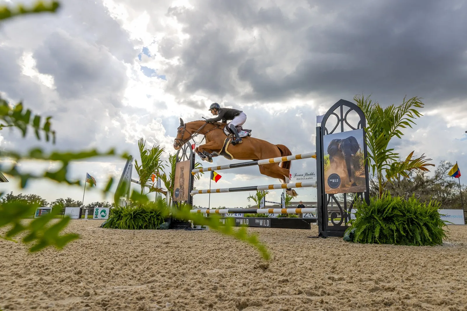 Mark Bluman riding S&L Eyes 4U in the $32,000 DNA Wild 1.45m FEI Welcome Speed at TerraNova