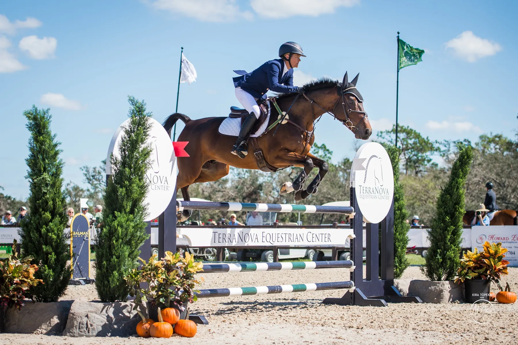 Mary Bess Davis riding Imperio Magic in the CCI4*-S show jumping at The Event at TerraNova 2022