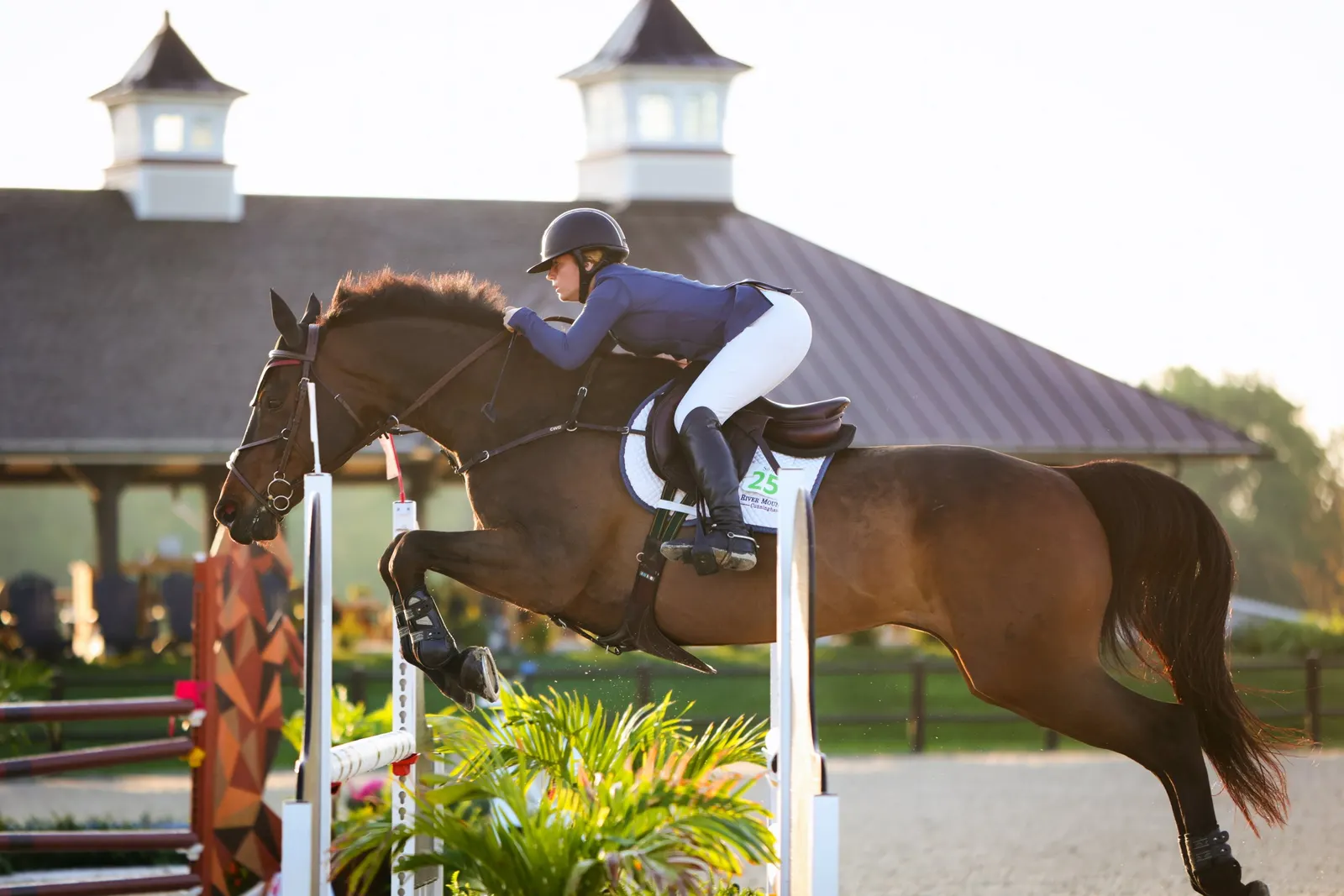 Mary Cunningham riding Quarterletto over a jump in the Jr/Am Jumper Classic at the TerraNova Winter Series. Photo by EQ Media.