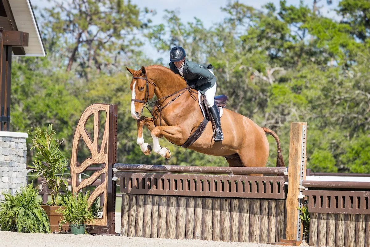 Matthew Piccolo riding Constellation in the $5,000 USHJA National Hunter Derby at TerraNova