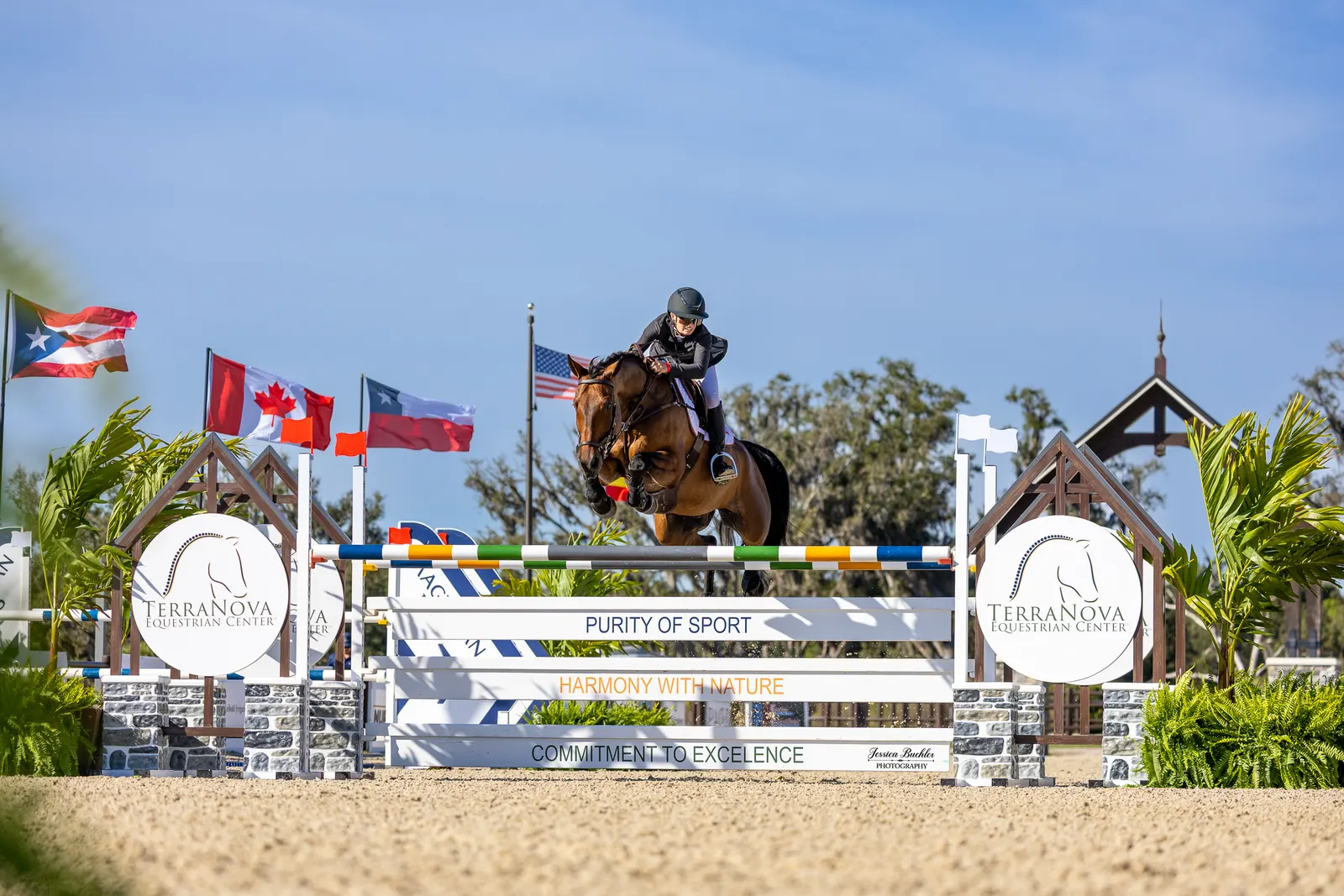 Mia Bagnato riding Cordiamo over a jump in the $32,000 Everglades Equipment Group FEI Welcome Speed at TerraNova