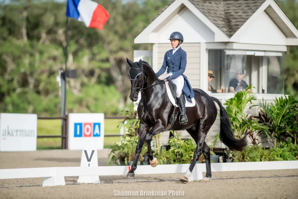 Mia Farley riding Invictus in the B&D Builders CCI4*-L dressage at The Event at TerraNova