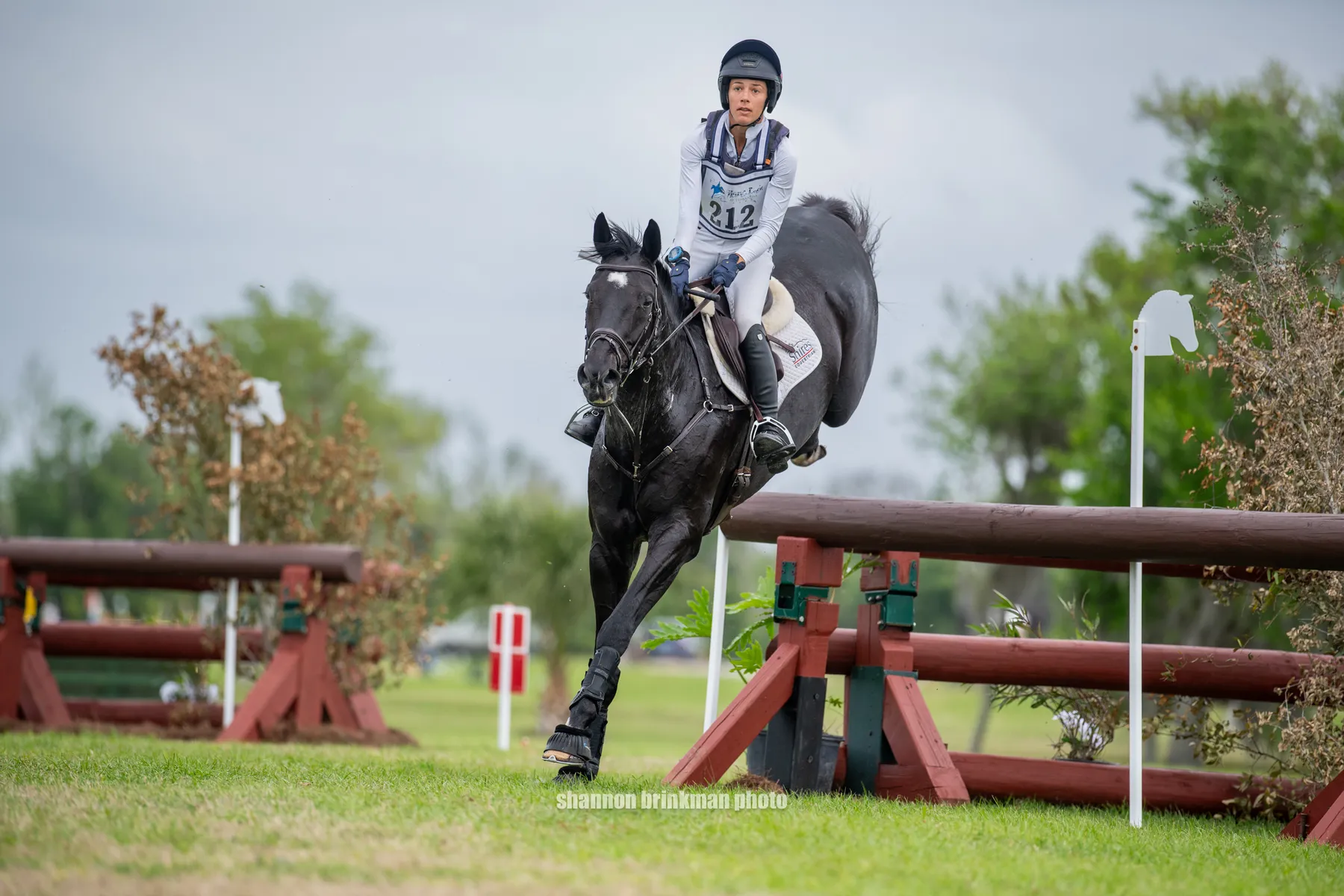 Mia Farley riding Invictus on cross-country at The Event at TerraNova