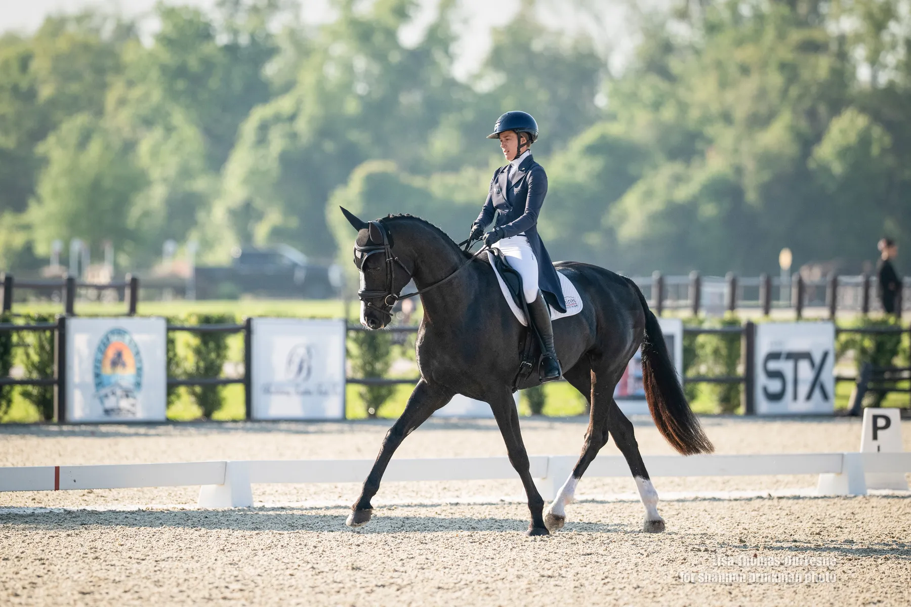 Mia Farley riding Piña Colada 28 in the dressage phase at The Event at TerraNova