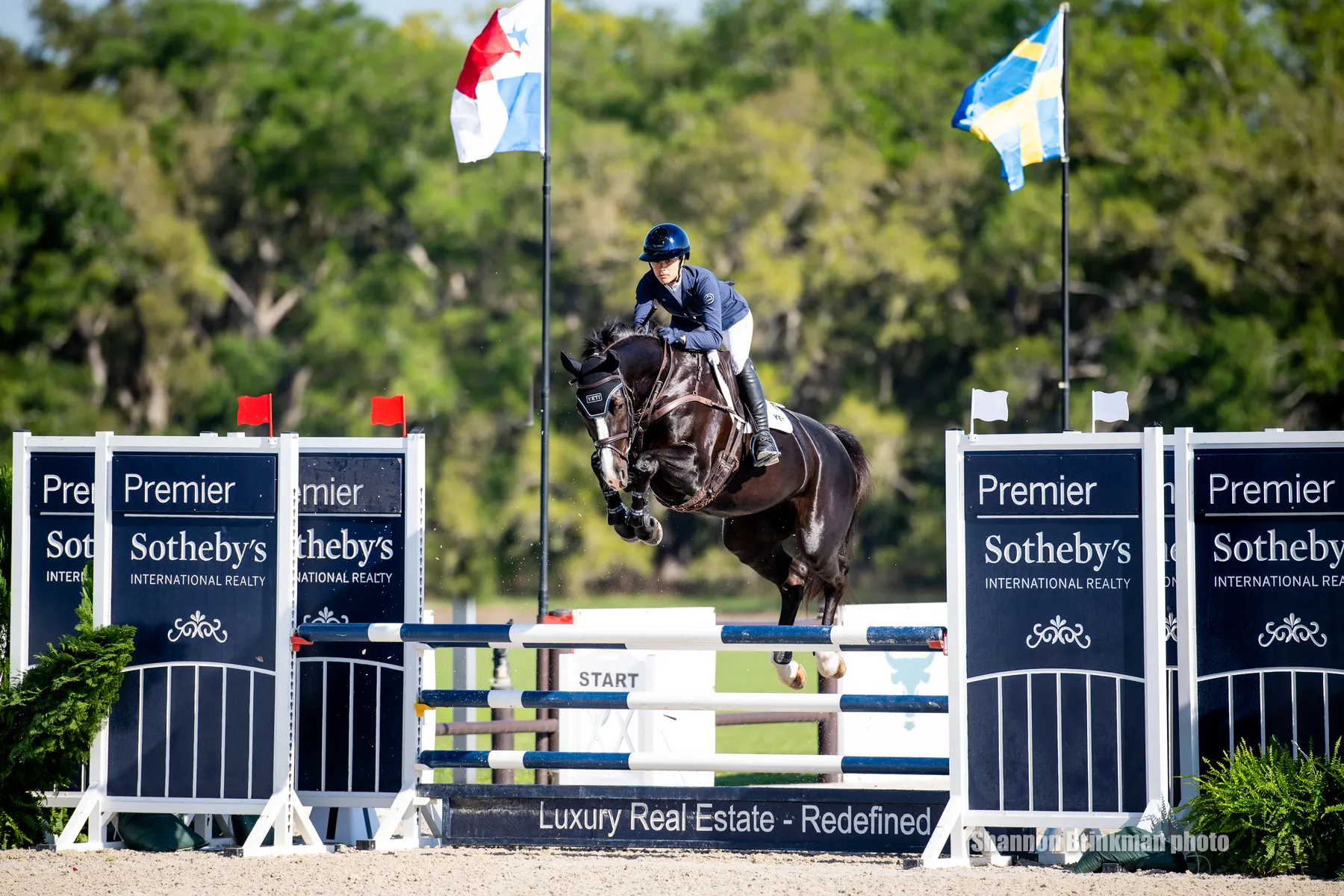 Mia Farley riding Piña Colada 28 in the show jumping phase at The Event at TerraNova