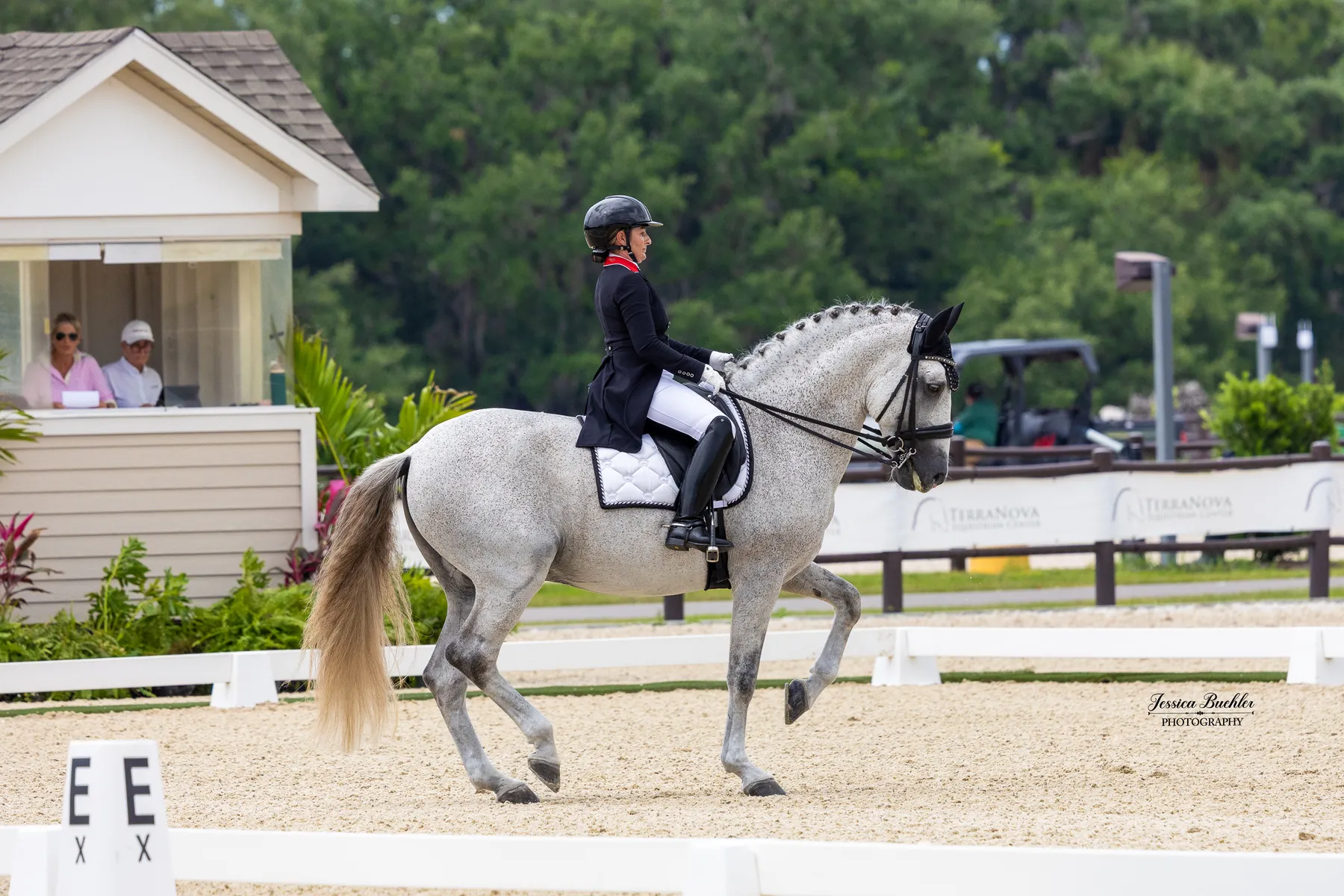Micah Deligdish riding Carpe Diem De Massa in the CDI3 Grand Prix Freestyle at TerraNova