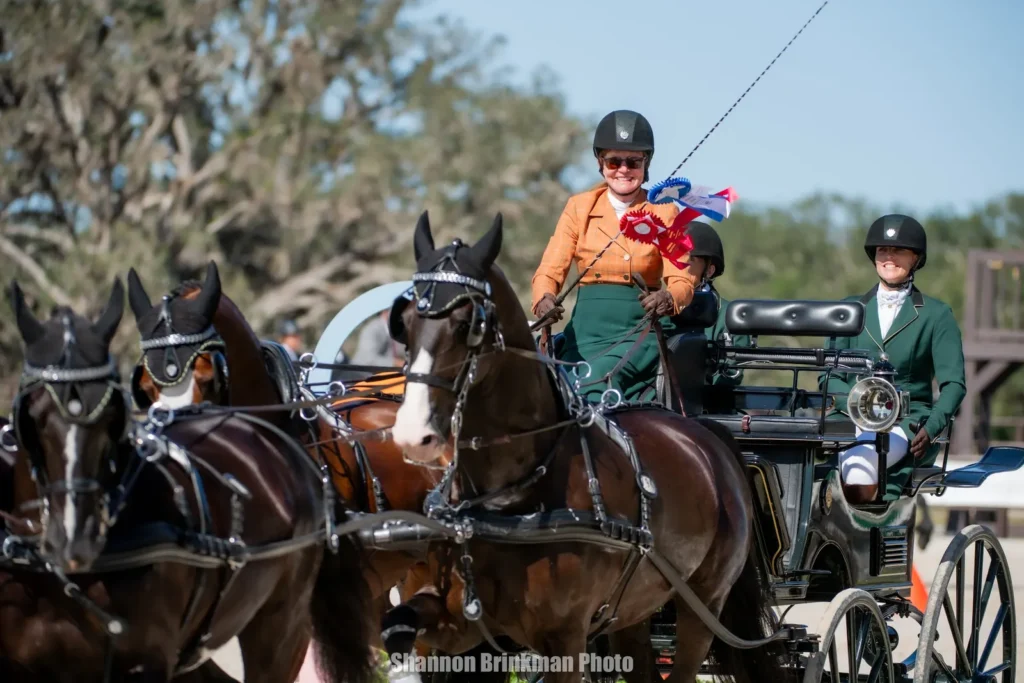 Misdee Wrigley Miller driving her four-in-hand team with championship ribbons at the inaugural TerraNova CDE. Photo by Shannon Brinkman.