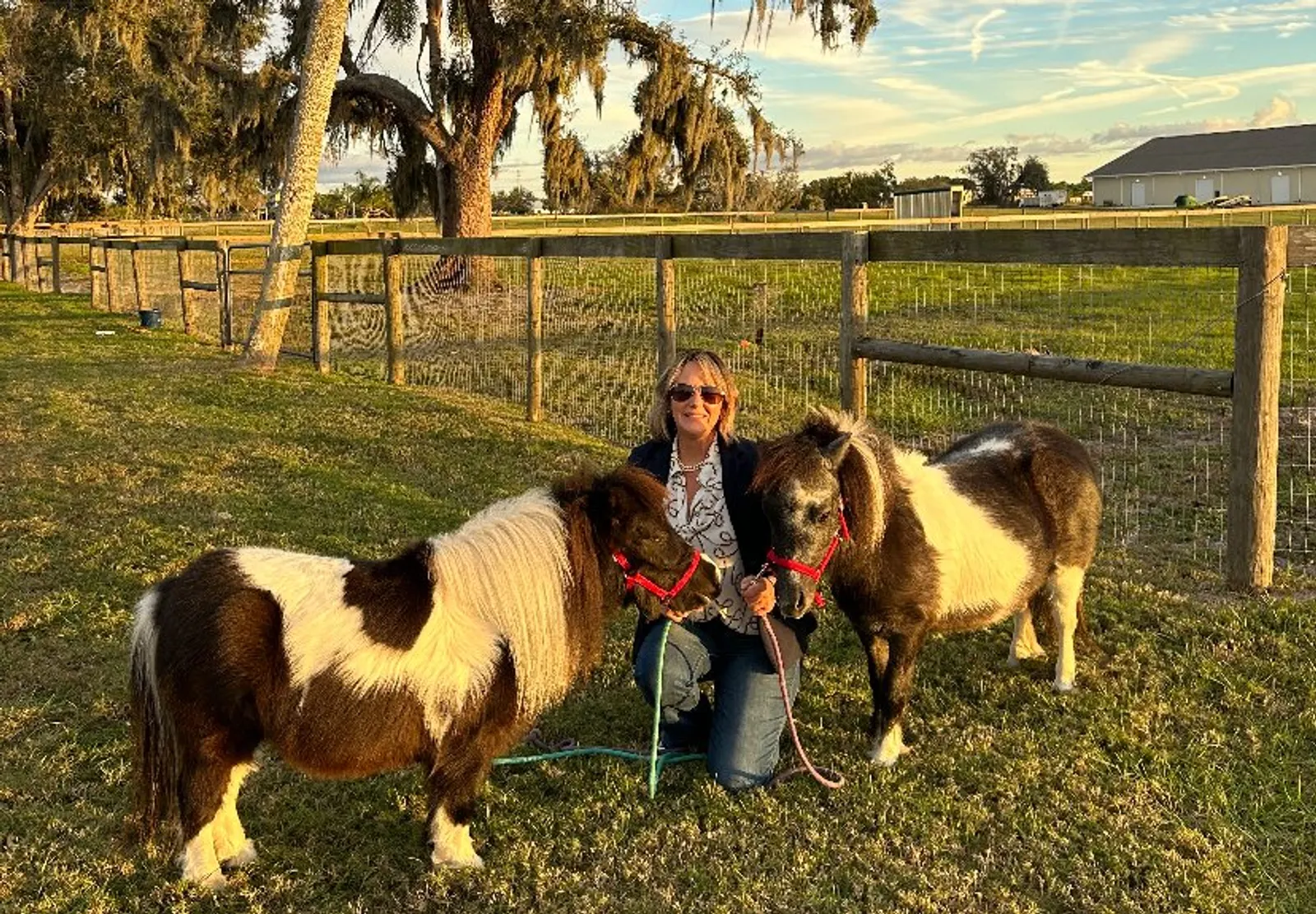 Molly Oakman kneeling in a grassy paddock at sunset with her two miniature horses, Pumpkin and Daisy