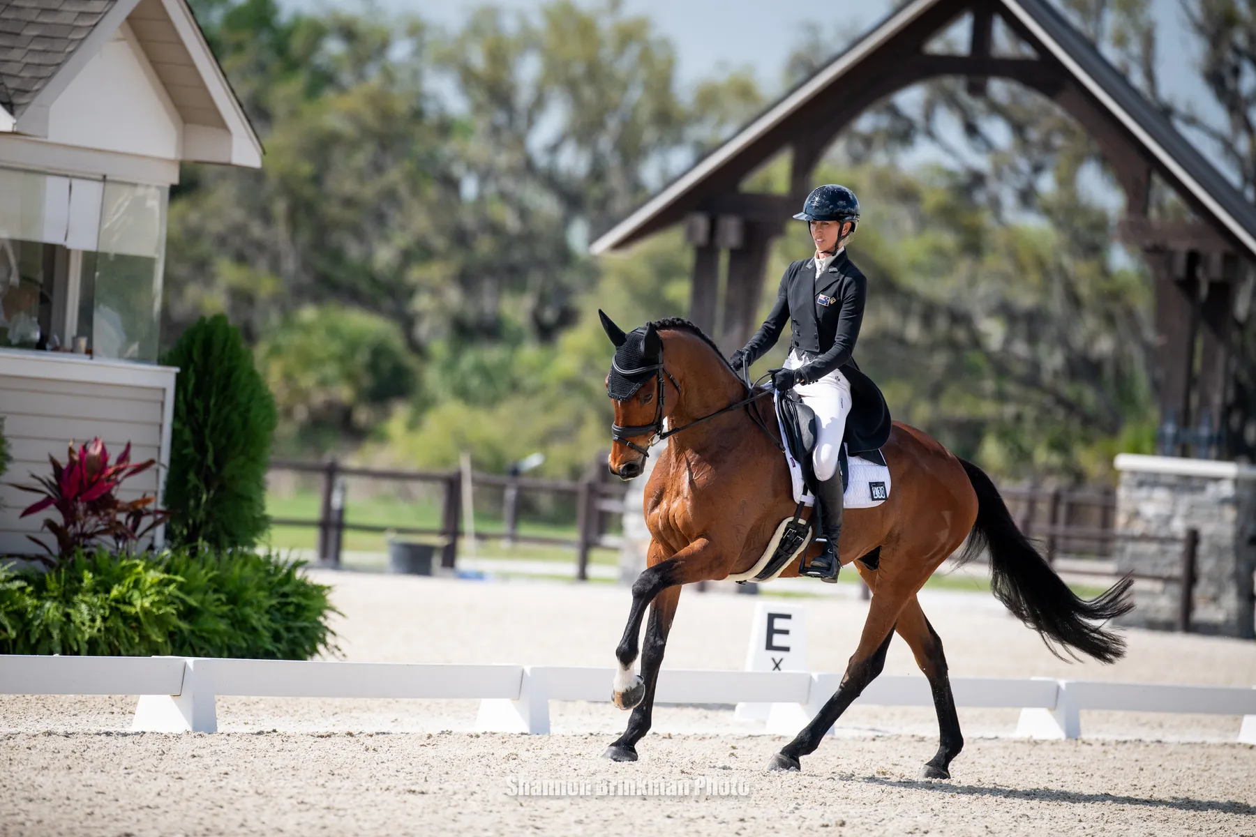 Monica Spencer riding Artist in the dressage phase at The Event at TerraNova