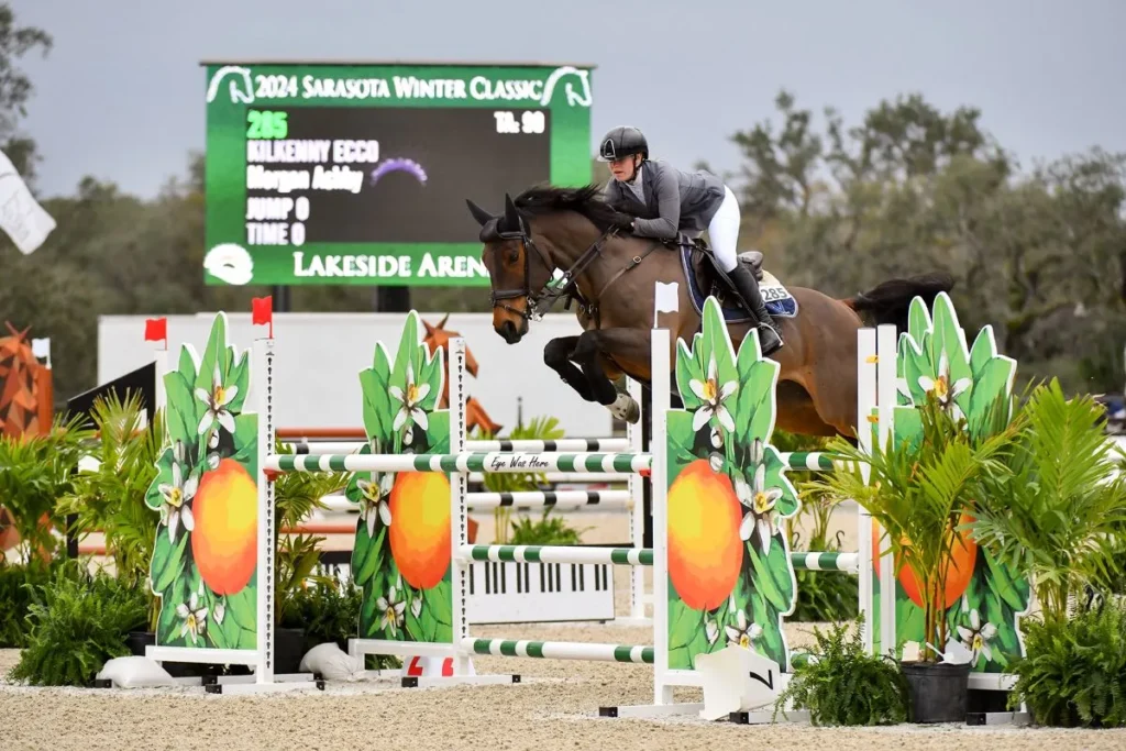 Morgan Ashby riding Kilkenny Ecco to win the $10,000 NAL 1.30/1.40m Junior/Amateur Jumper Classic at the Sarasota Winter Classic at TerraNova