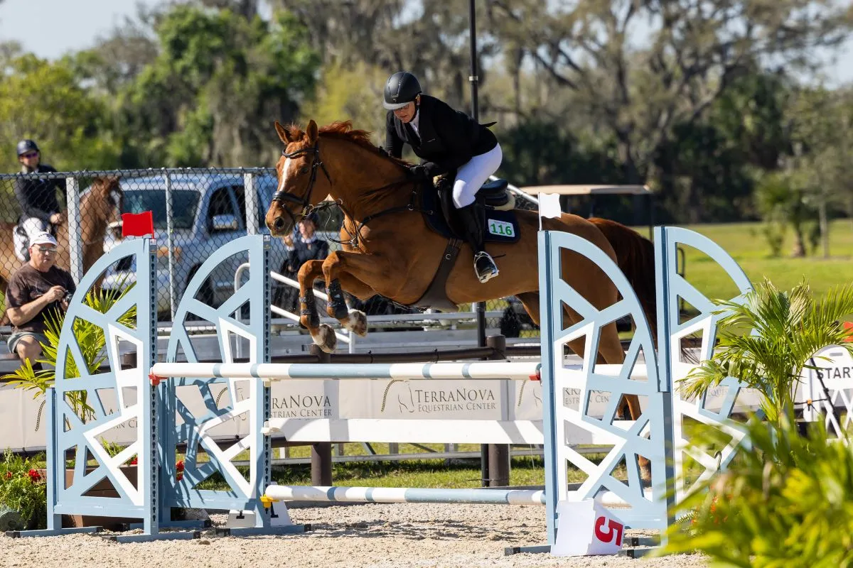 Olga Zarlenga riding Magnific de Reve to third in the NAL/WIHS 1.10m Junior/Amateur Jumper Classic at TerraNova