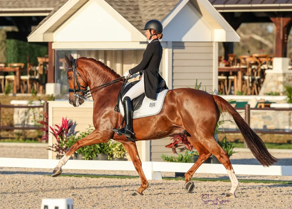 Patricia Ferrando riding Honnaisseur SJ to second place in the CDI4* Grand Prix at TerraNova Dressage II