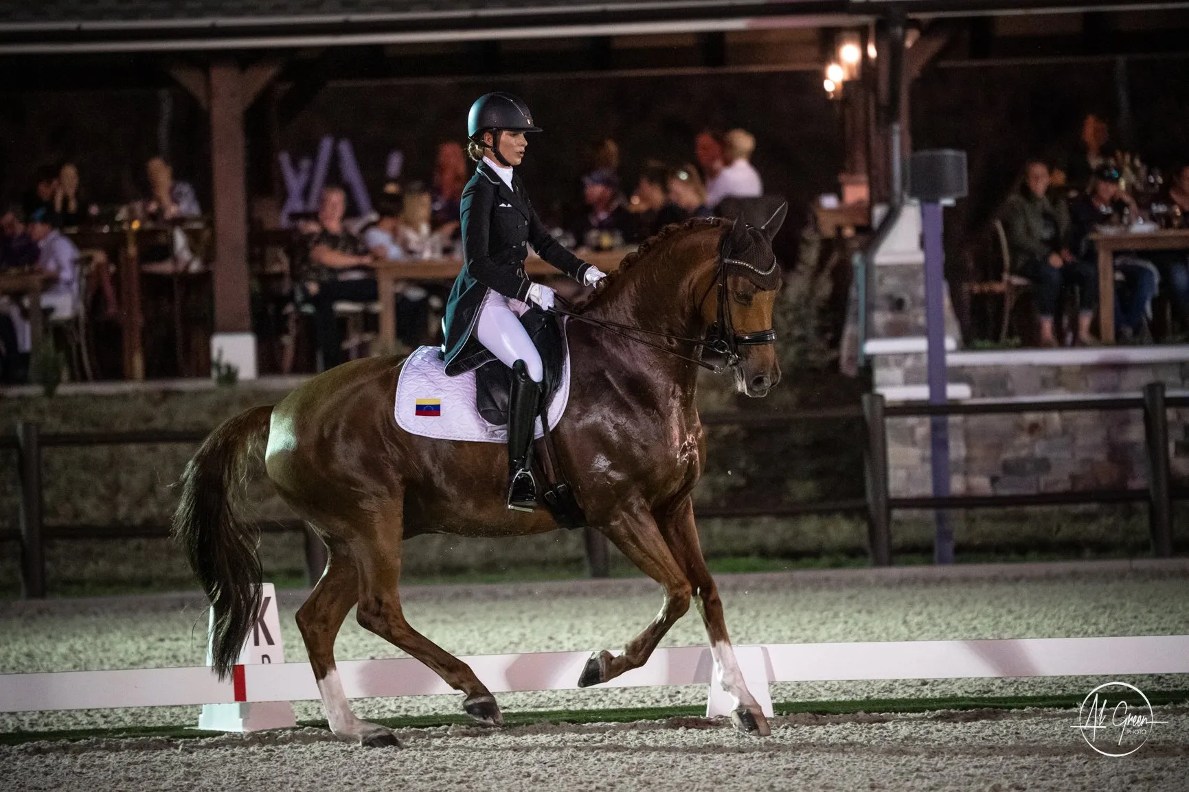 Patricia Ferrando riding Honnaisseur SJ in the CDI4* Grand Prix Special at TerraNova Dressage II