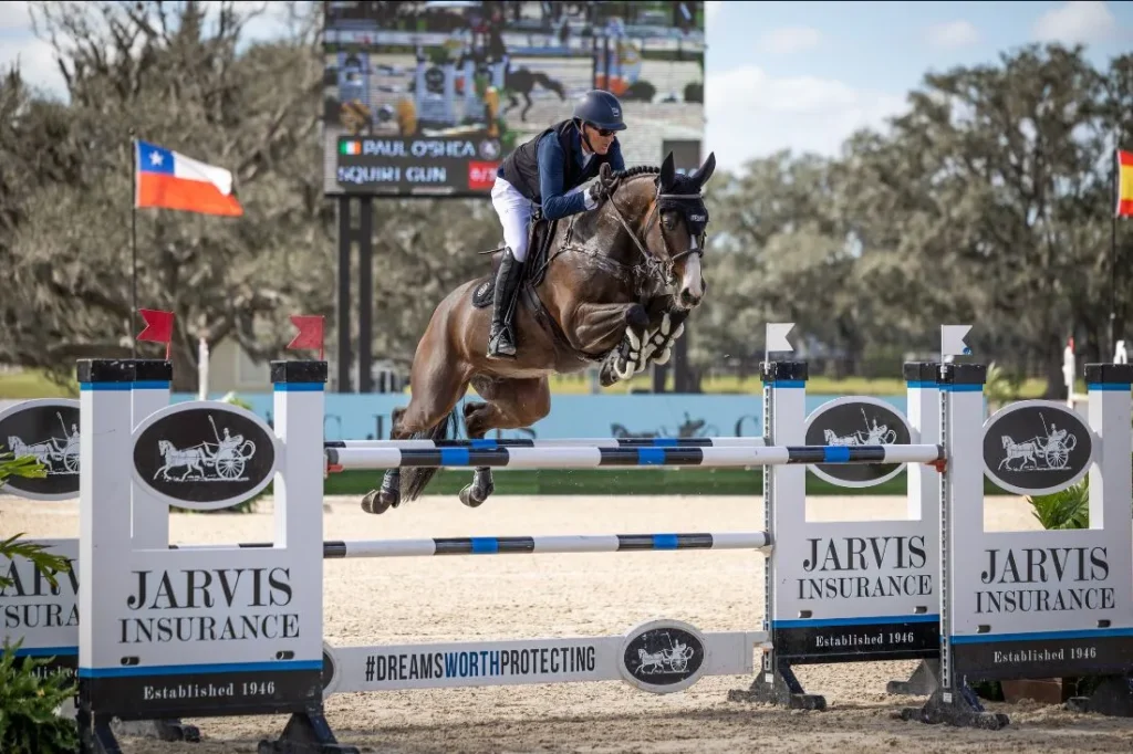 Paul O'Shea riding Squirt Gun to win the $35,000 C. Jarvis Insurance 1.45m FEI Welcome CSI2* at TerraNova