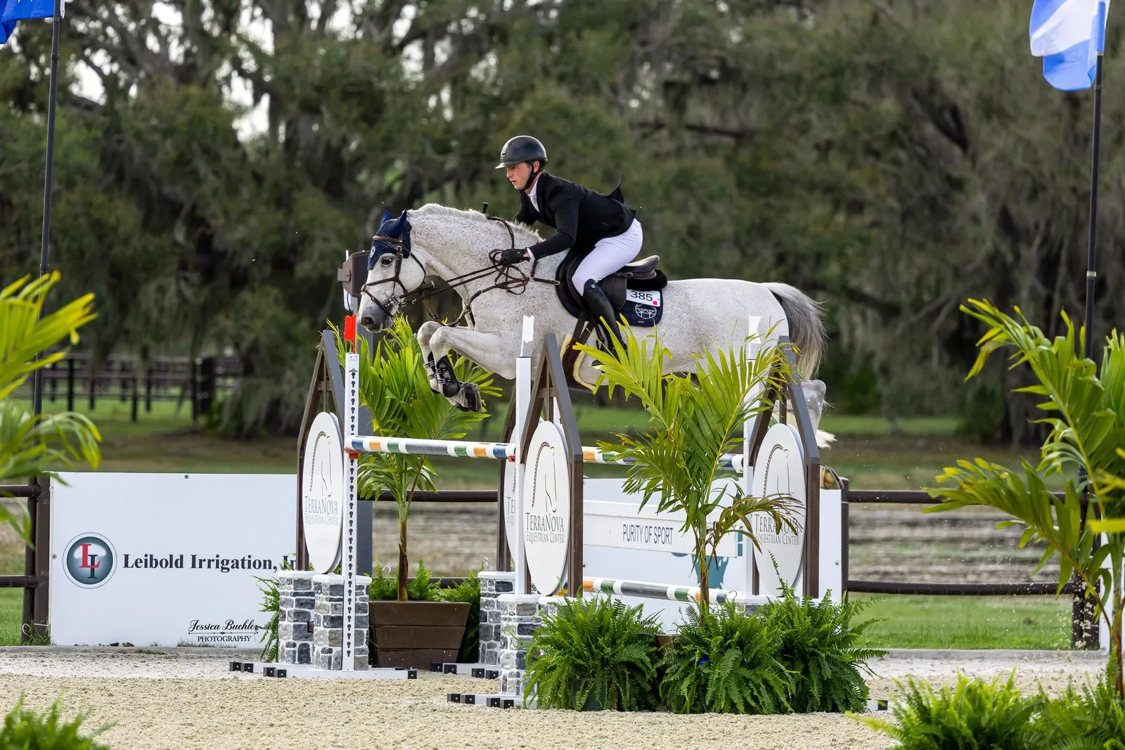 Philip McGuane riding Coronado in the DNA Wild FEI Welcome Speed at TerraNova