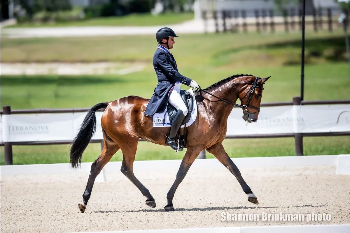 Phillip Dutton riding Denim, leading the CCI3*-S after dressage at The Estates at TerraNova