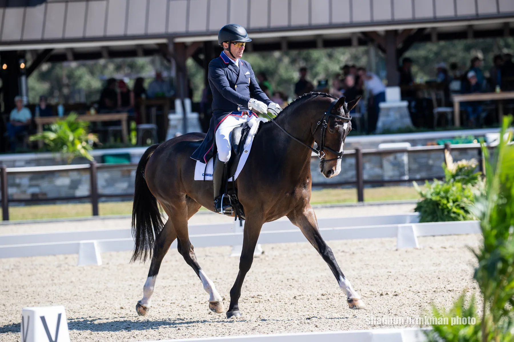 Phillip Dutton riding Possante to lead the CCI4*-L dressage at The Event at TerraNova