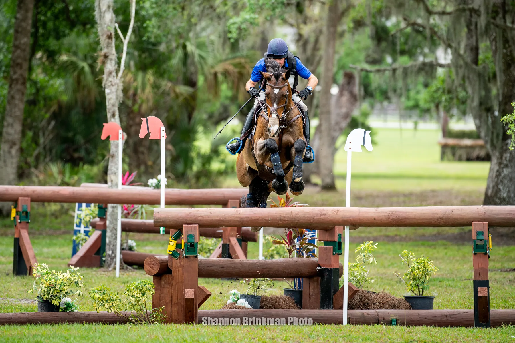 Phillip Dutton riding Possante to third in the B&D Builders CCI4*-S at The Event at TerraNova