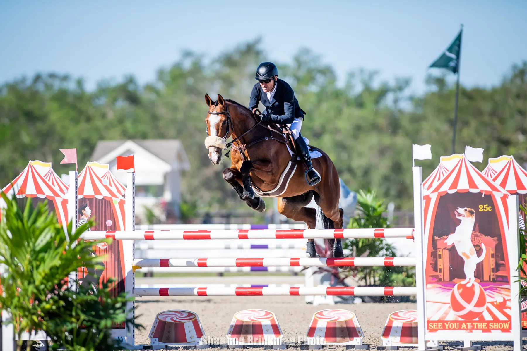 Phillip Dutton riding Quasi Cool in the Insurance Offices of America CCI4*-S at The Event at TerraNova