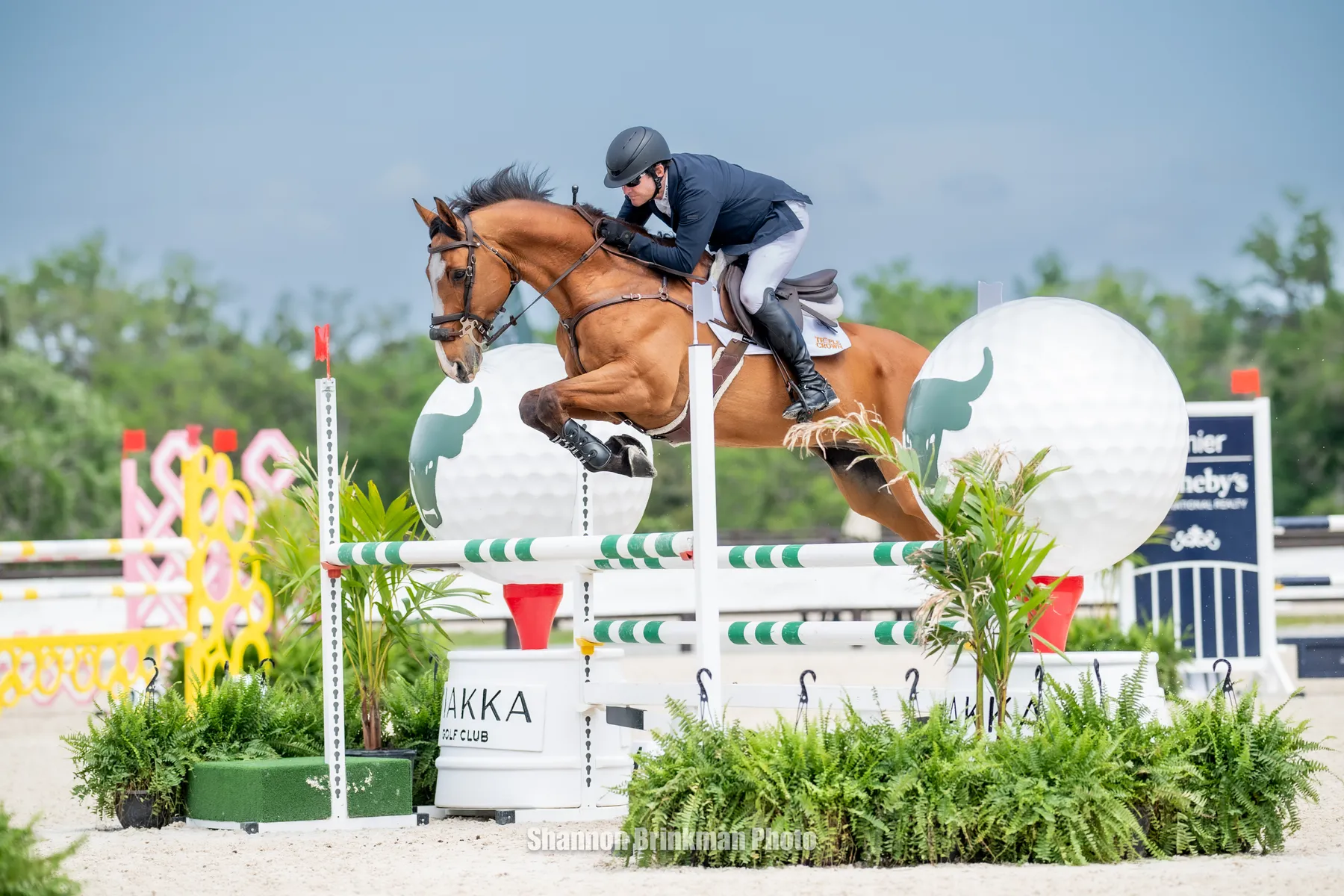 Phillip Dutton riding Quasi Cool in second after CCI4*-S show jumping at The Event at TerraNova