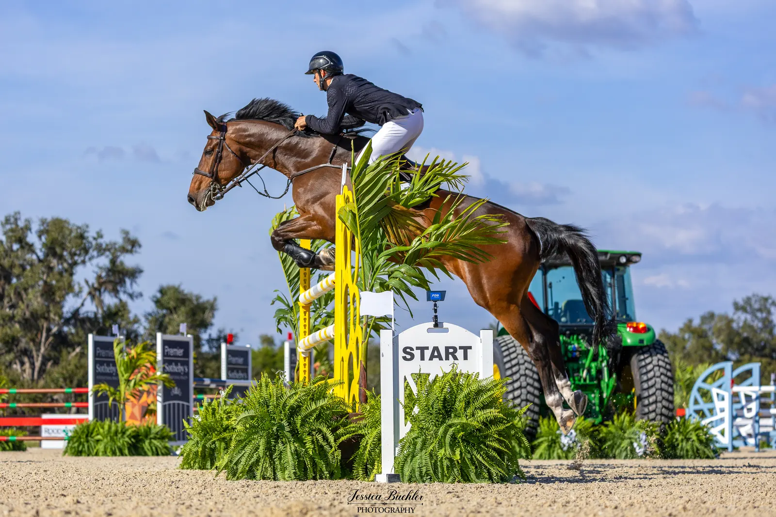 Richard Vogel riding Quizas van't Hulsbos over a jump in the $32,000 Everglades Equipment Group FEI Welcome Speed