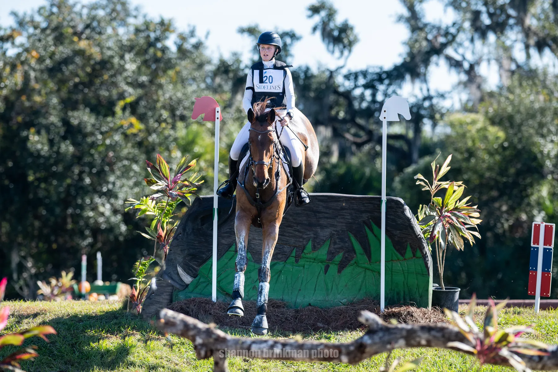 Riley Zgrebnak riding Cooley Criminal Mind on a double-clear cross-country round to lead the CCI3*-L at The Event at TerraNova