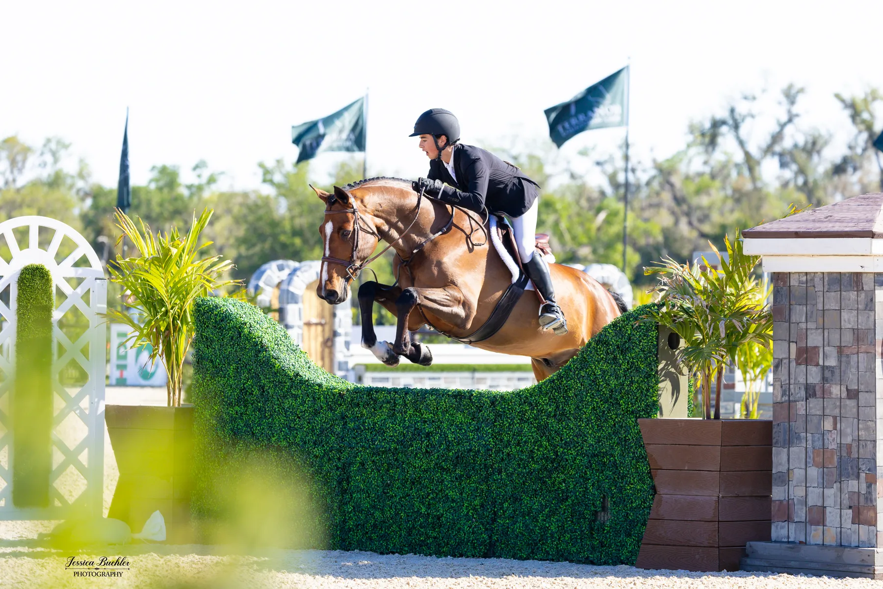 RJ Maya riding Cassario 8 in the $5,000 USHJA National Hunter Derby at TerraNova