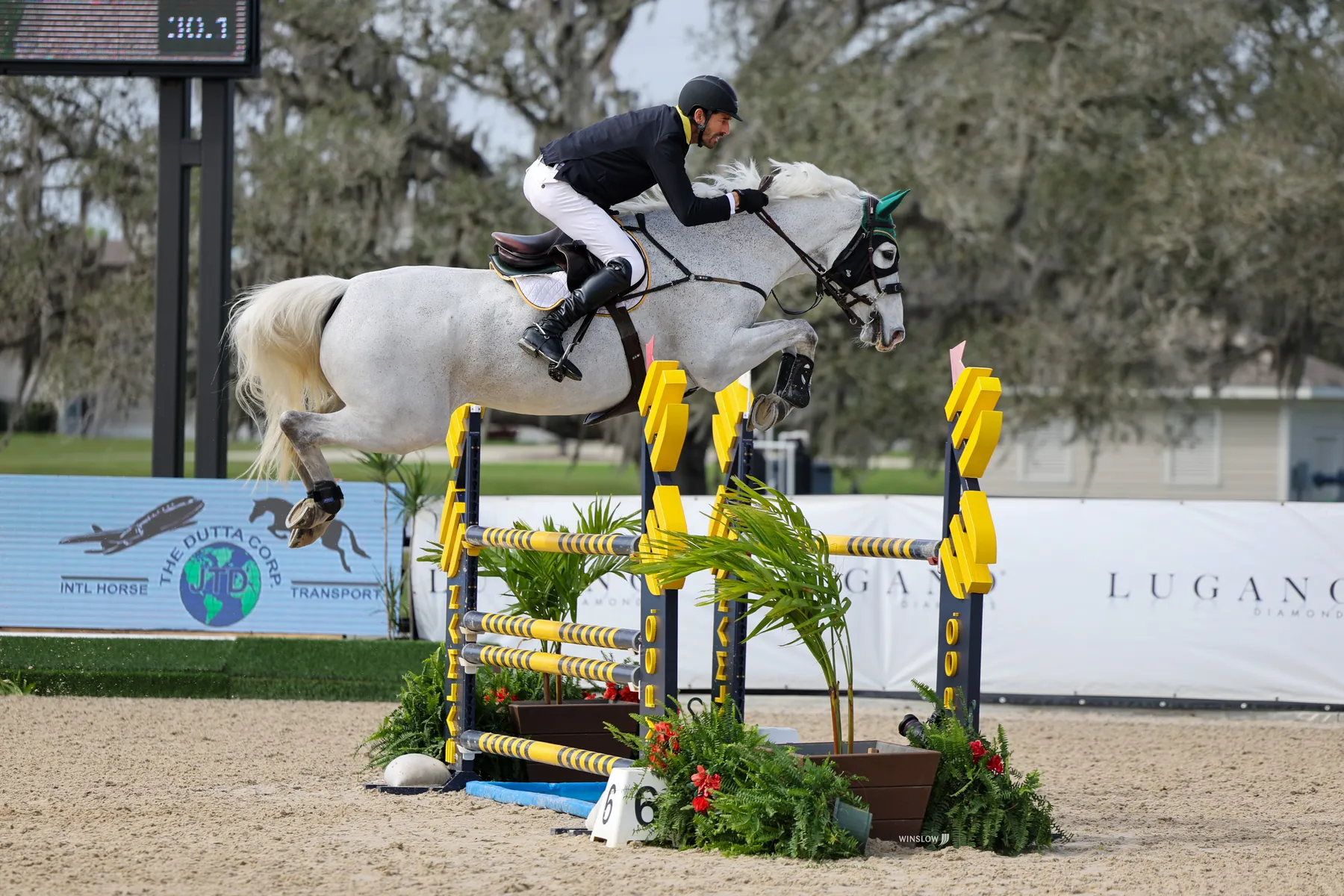 Rowan Willis riding Ashton Dakota to win the $100,000 Dutta Corporation 1.25m Championship at the Split Rock Jumping Tour