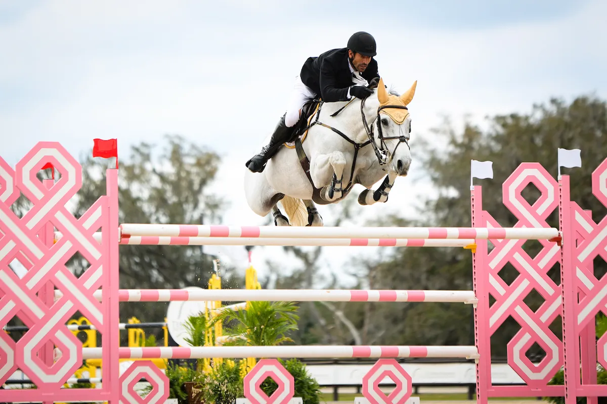 Rowan Willis riding Wellington Grey Goose to third in the $32,000 The Estates at TerraNova FEI 1.45m Welcome Speed