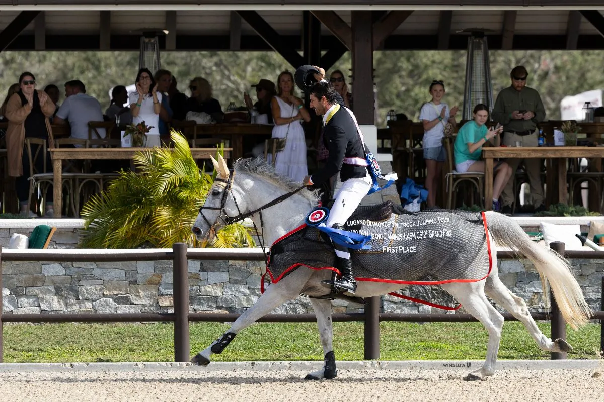 Rowan Willis and Wellington Grey Goose lead the victory gallop past the VIP brunch at TerraNova