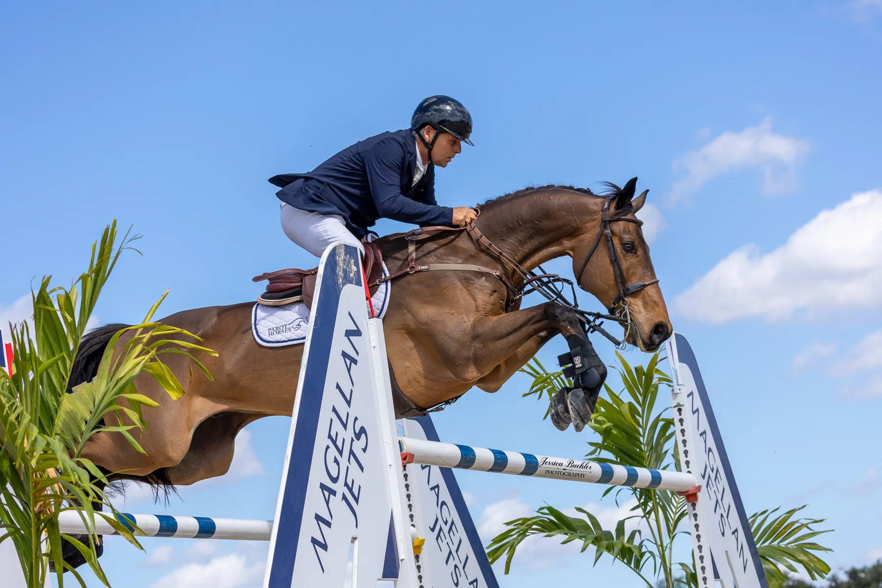 Samuel Parot riding Chrystal Blue over a jump in the jump-off of the $65,000 Stephex USA FEI Grand Prix at TerraNova